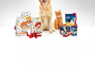 PURINA Gewinnspiel